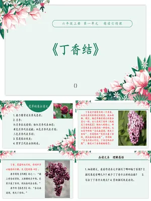 丁香结PPT课件4