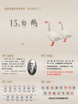白鹅PPT课件6