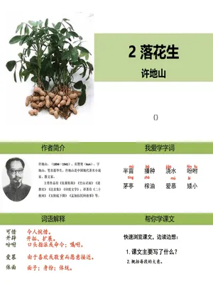 落花生PPT课件5