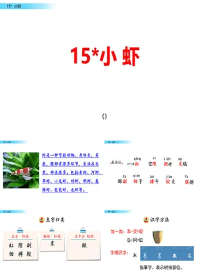 小虾PPT课件6