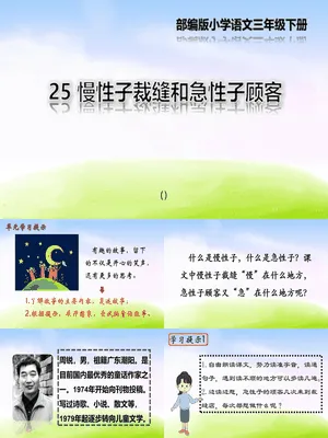 慢性子裁缝和急性子顾客PPT课件7