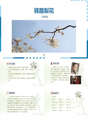 驿路梨花PPT课件2