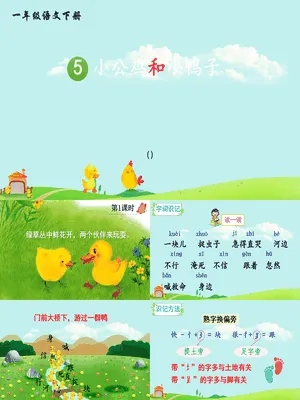 小公鸡和小鸭子PPT课件8