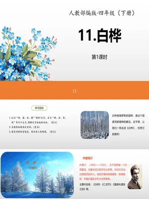 白桦PPT课件6
