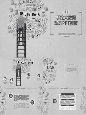 P43777互联网大数据分析