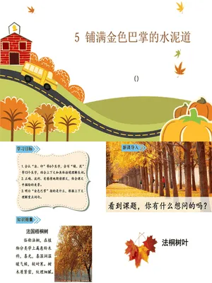 铺满金色巴掌的水泥道PPT课件4