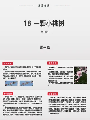一颗小桃树PPT课件6