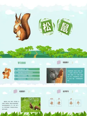 松鼠PPT课件7