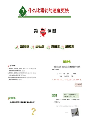 什么比猎豹的速度更快PPT课件3