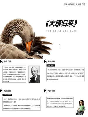 大雁归来PPT课件2