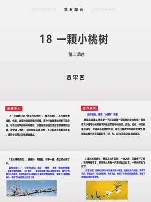 一颗小桃树PPT课件7