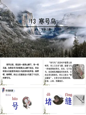 寒号鸟PPT课件7