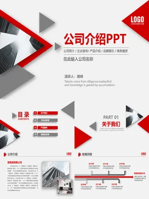 SW00061JS00023商业计划书PPT案例分析