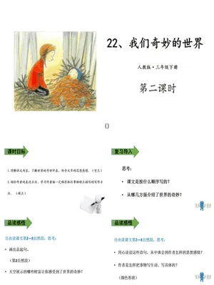 我们奇妙的世界PPT课件2