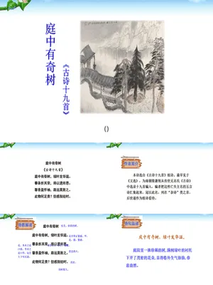 庭中有奇树PPT课件4
