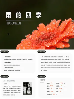 雨的四季PPT课件6