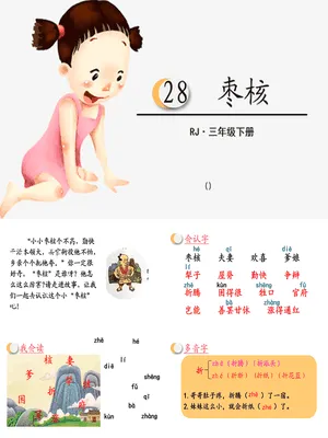 枣核PPT课件5