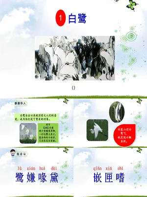 白鹭PPT课件4