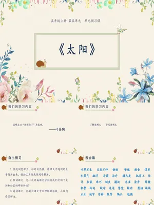太阳PPT课件4