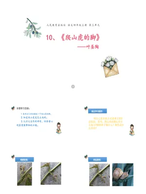 爬山虎的脚PPT课件4