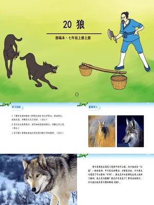 狼PPT课件2