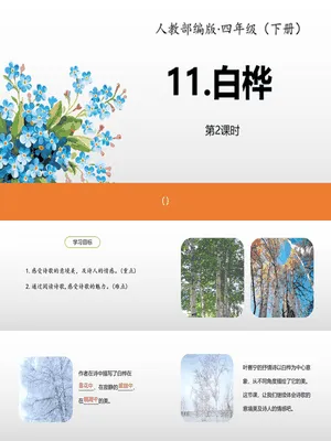 白桦PPT课件5