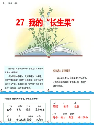 我的长生果PPT课件5
