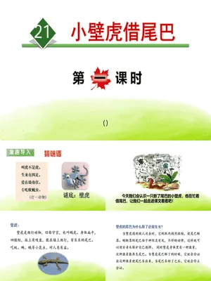 小壁虎借尾巴PPT课件7
