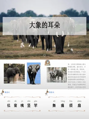 大象的耳朵PPT课件1