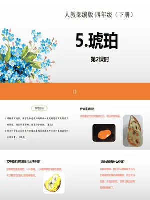琥珀PPT课件5
