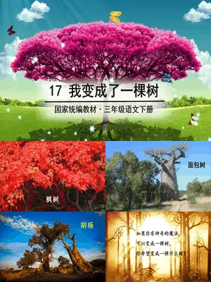 我变成了一棵树PPT课件7