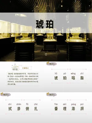 琥珀PPT课件1