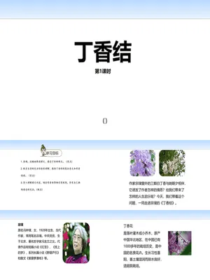 丁香结PPT课件1