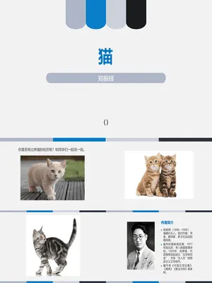《猫》PPT课件3