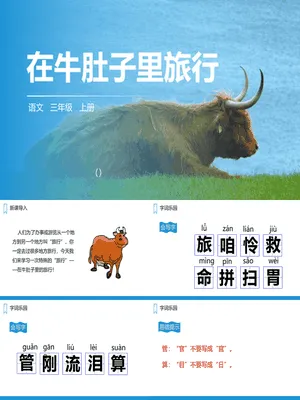 在牛肚子里旅行PPT课件1