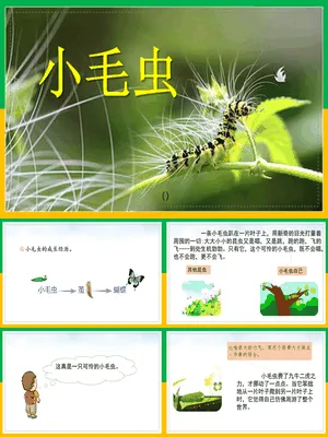 小毛虫PPT课件5
