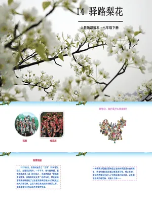 驿路梨花PPT课件4