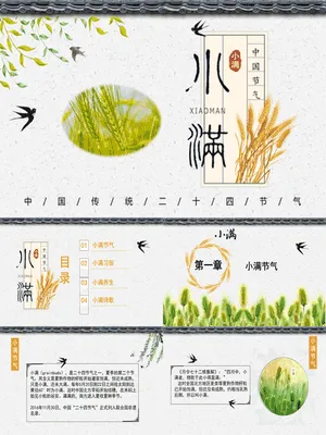 JR0123小满节气主题