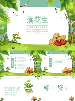 落花生PPT课件1