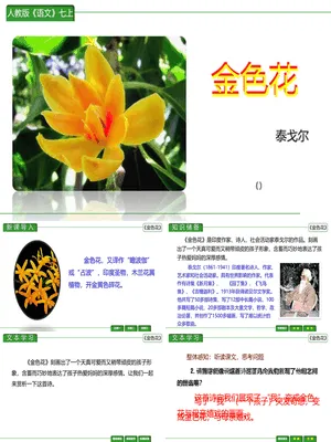 金色花PPT课件3