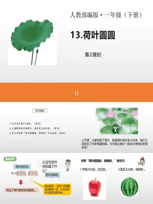 荷叶圆圆PPT课件7