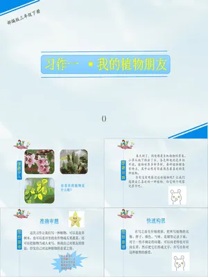 我的植物朋友PPT课件2