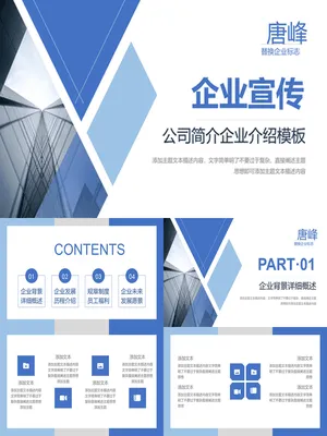 SW00078JS00040商业计划书PPT演讲技巧模板
