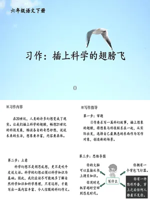 插上科学的翅膀飞PPT课件1