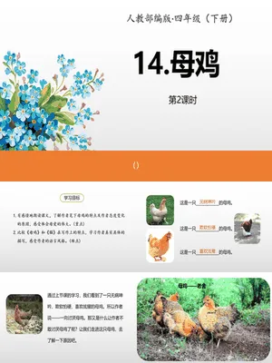 母鸡PPT课件3