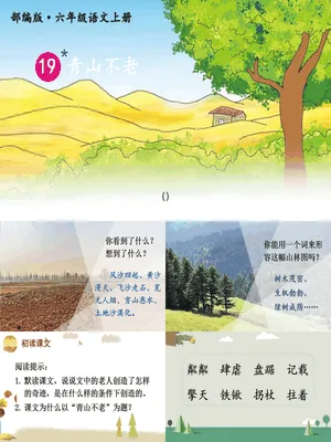 青山不老PPT课件6