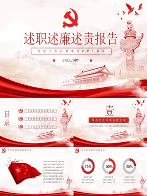 党支部书记述职述廉述责报告