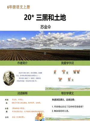 三黑和土地PPT课件6