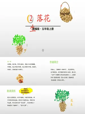 落花生PPT课件6