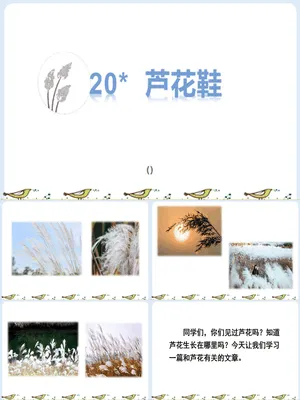 芦花鞋PPT课件8